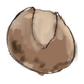 bread sketch