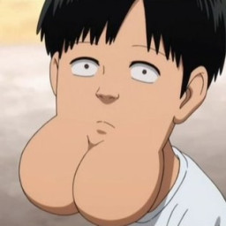 inslider